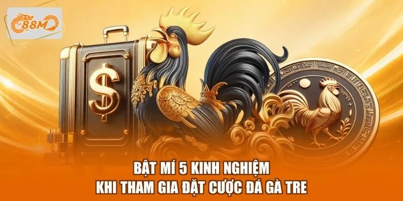 Bật mí 5 kinh nghiệm khi tham gia đặt cược đá gà tre