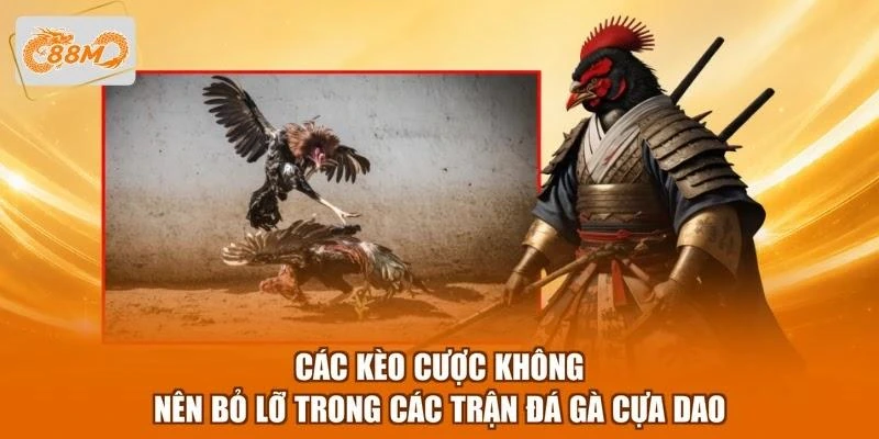 Các kèo cược không nên bỏ lỡ trong các trận đá gà cựa dao