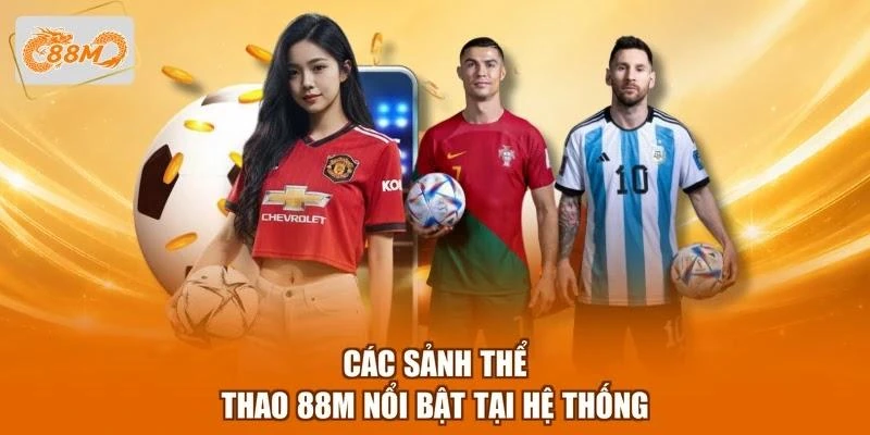 Các sảnh thể thao 88M nổi bật tại hệ thống