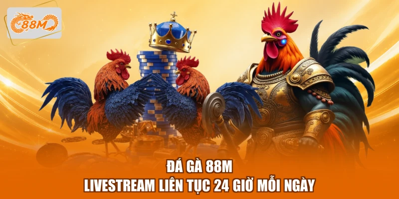 88m 12 Đá gà 88M livestream liên tục 24 giờ mỗi ngày