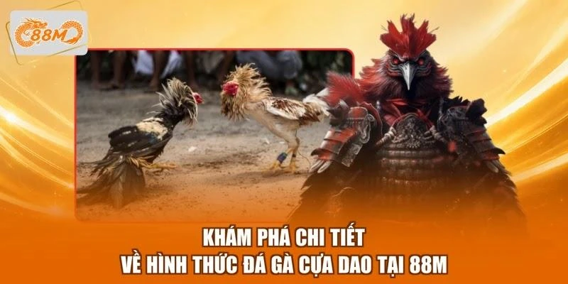 Khám phá chi tiết về hình thức đá gà cựa dao tại 88M