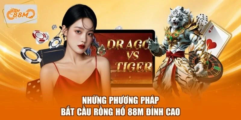 nhung-phuong-phap-bat-cau-rong-ho-88m-dinh-cao Những phương pháp bắt cầu Rồng Hổ 88M đỉnh cao
