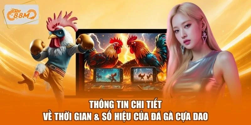 Thông tin chi tiết về thời gian & số hiệp của đá gà cựa dao
