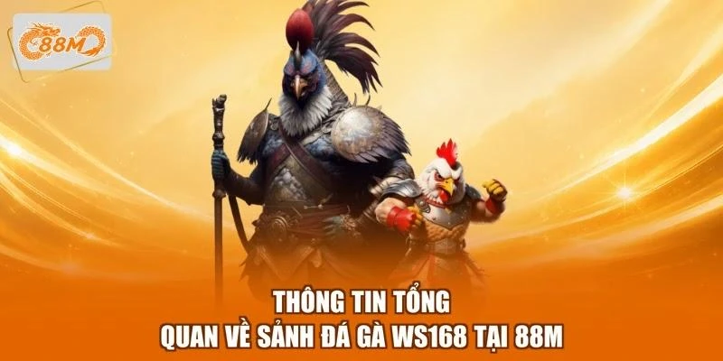Thông tin tổng quan về sảnh đá gà WS168 tại 88M