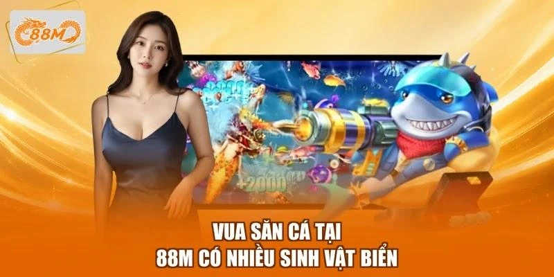 vua-san-ca-tai-88m-co-nhieu-sinh-vat-bien Vua săn cá tại 88M có nhiều sinh vật biển